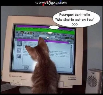 Quel est cet animal ?