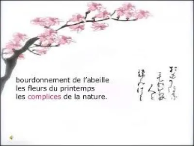 Comment appelle-t-on un petit poème japonais qui retranscrit la beauté d'un instant de vie ou exprime un sentiment éphémère ?