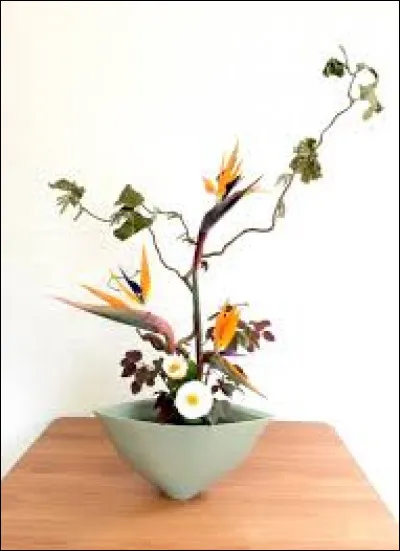 L'art floral japonais est aussi connu sous le nom...