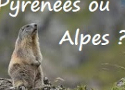 Alpes ou Pyrénées ? (1)