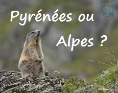 Quiz Voyages