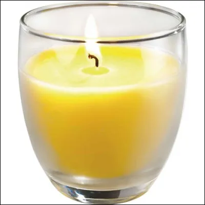 Si vous ne voulez pas que le futur nous détruise, avec quoi éloignerez-vous les moustiques ?