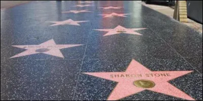 Dans quel quartier de Los Angeles, le boulevard des étoiles, consacré aux célébrités du spectacle se trouve-t-il ?