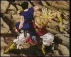 Dans le retour de Broly qui tue Broly ?