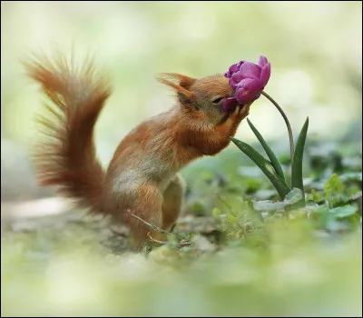 Parlons finances et épargne en ces temps difficiles de 2019 ! 
Quel est le plafond d'argent - donc la limite - que l'on peut verser sur le livret A ?