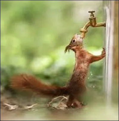 Quel nom correspond à la borne indiquant la distance d'une lieue ?