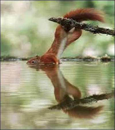 Quel verbe est un intrus pour définir le fait d'aller trop loin dans les réactions ?