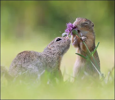 Qu'indique la borne comme la limite ?