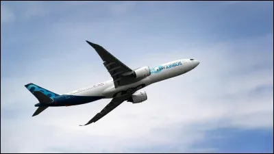 Tu es dans un avion et un hamburger se jette sur toi dans la première classe. Le manges-tu ?