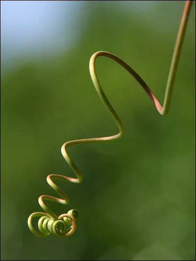 Une façon de partir en échappant à tout contrôle, c'est la...