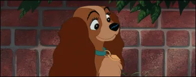 Dans quel dessin animé apparaît cette chienne ?