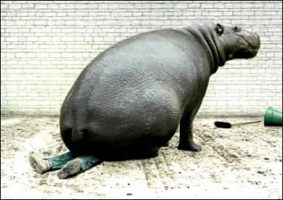 Trouver le titre de ce journal devrait vous faire un choc de poids !