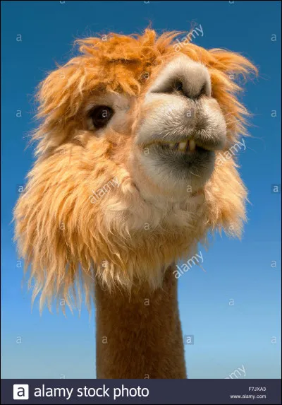 Trouvez le roman de Boris Vian !