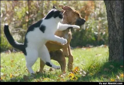 Trouvez en direct, sans faire de crochets inutiles, le nom d'un personnage de cin&eacute;ma !