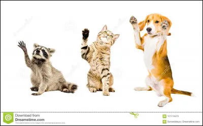 Trouvez le nom d'une chanson des Beatles !