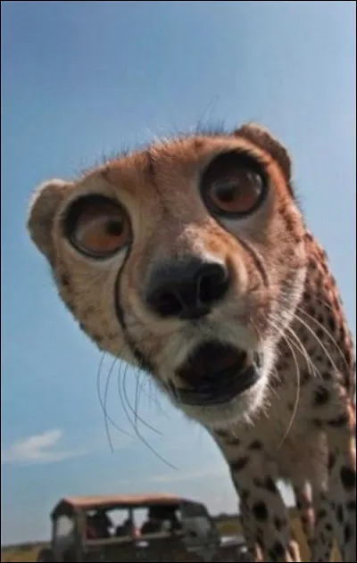 C'est un sentiment qui vous laisse baba !