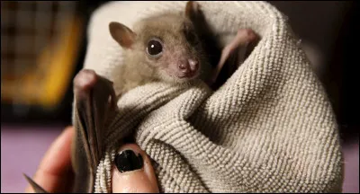 Trouvez le mot correspondant !