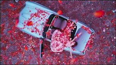 De quel MV provient cette image ?