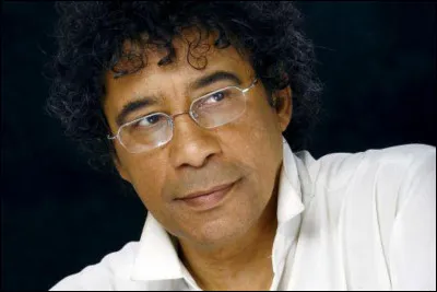 Dans la chanson "Rockcollection" de Laurent Voulzy, quels chanteurs et groupes aimait-il &eacute;couter quand il &eacute;tait enfant ?