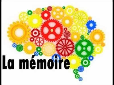 Quel groupe anglais parle de ses m&eacute;moires ?