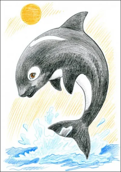 Quel est le sujet dans cette phrase : "Ma tante aime beaucoup mes dessins" ?