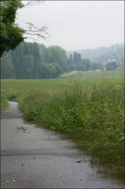 La pluie, tu trouves ça...