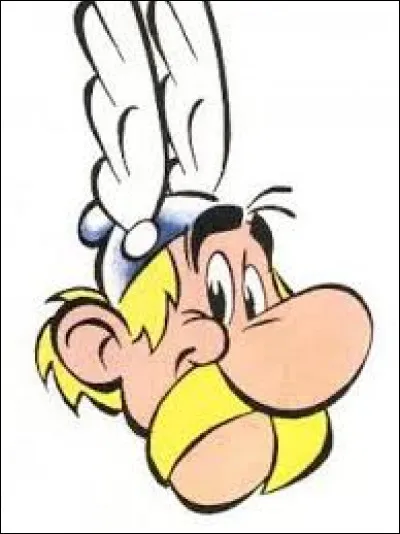 Quel est ce personnage gaulois ?