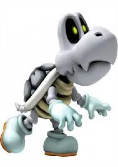 Quel est ce personnage squelette ?