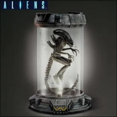 On te capture pour t'&eacute;tudier dans un labo, tu...