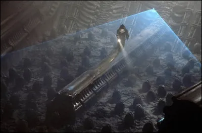 O&ugrave; te cacherais-tu ?