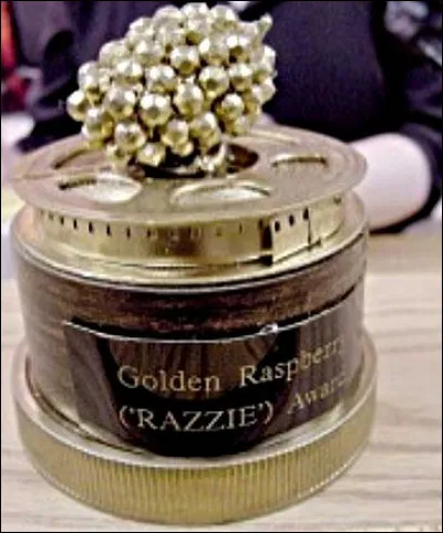 Dans un style plus parodique, les "Razzie Awards" désignent, depuis 1984, le plus mauvais acteur, réalisateur, film, etc. Que décerne-t-on au lauréat ?