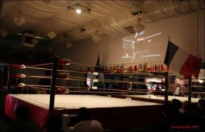 Le terrain de lutte des boxeurs s'appelle ...