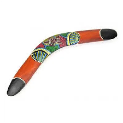 Qui partage un duo avec Etienne Daho pour la chanson "Comme un boomerang" ?