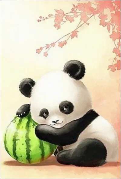 Quelle chanteuse a fait l'éloge de la protection du panda dans sa chanson "Pandi-Panda" ?