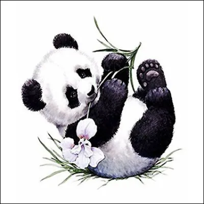 De quelle association, le panda est-il le logo ?