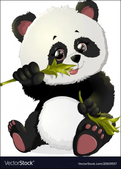 À quel âge le panda atteint-il sa maturité sexuelle ?