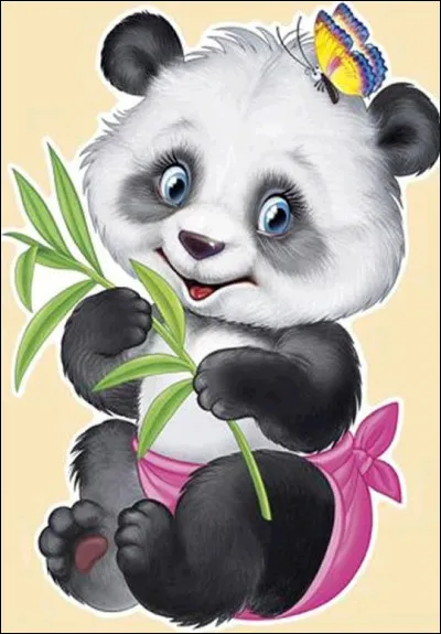 Quel est le sens le plus médiocre chez le panda ?