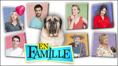 Sur quelle chaîne passe "En famille" ?