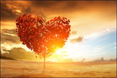 Que pense tu des manga sur les relations (encore) yuri et yaoi?