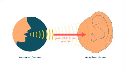En prise de son et en sonorisation, qu'est-ce que le "buzz" ?