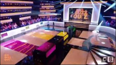 Qui présentait le jeu télévisé "Big Buzz Quiz" sur C8 ?