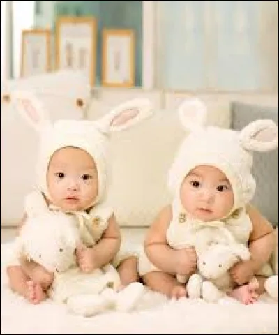 Des jumeaux se traduisent par :