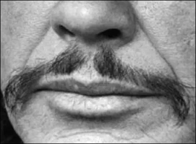 A qui appartient cette moustache ?