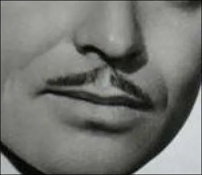 A qui appartient cette moustache ?