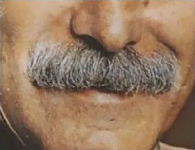 A qui appartient cette moustache ?