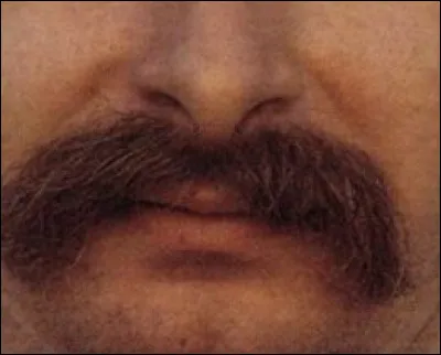 A qui appartient cette moustache ?