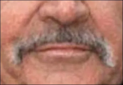 A qui appartient cette moustache ?