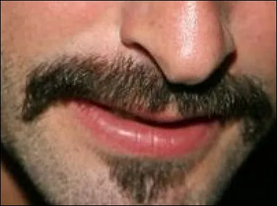 A qui appartient cette moustache ?