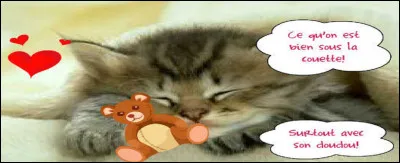 Il est bien trop tôt pour se rester levé, je vais me remettre sous "la couette" !