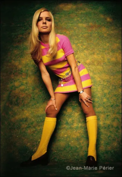 ''Bébé requin'' chantait France Gall. Quel est le mode de reproduction des requins ?